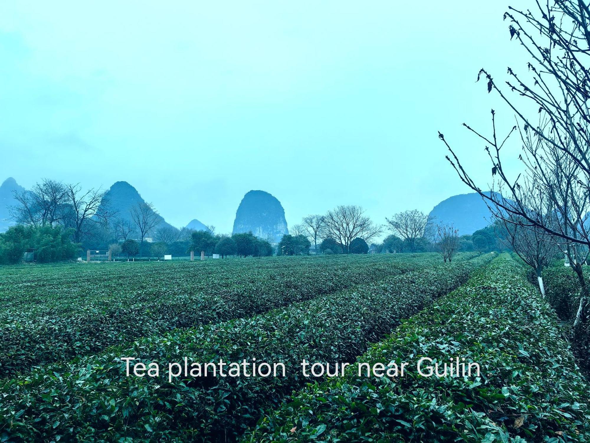 Guilin Village Creek Inn-Free Private Car Pick Up Station Stay 3 Nights Luaran gambar